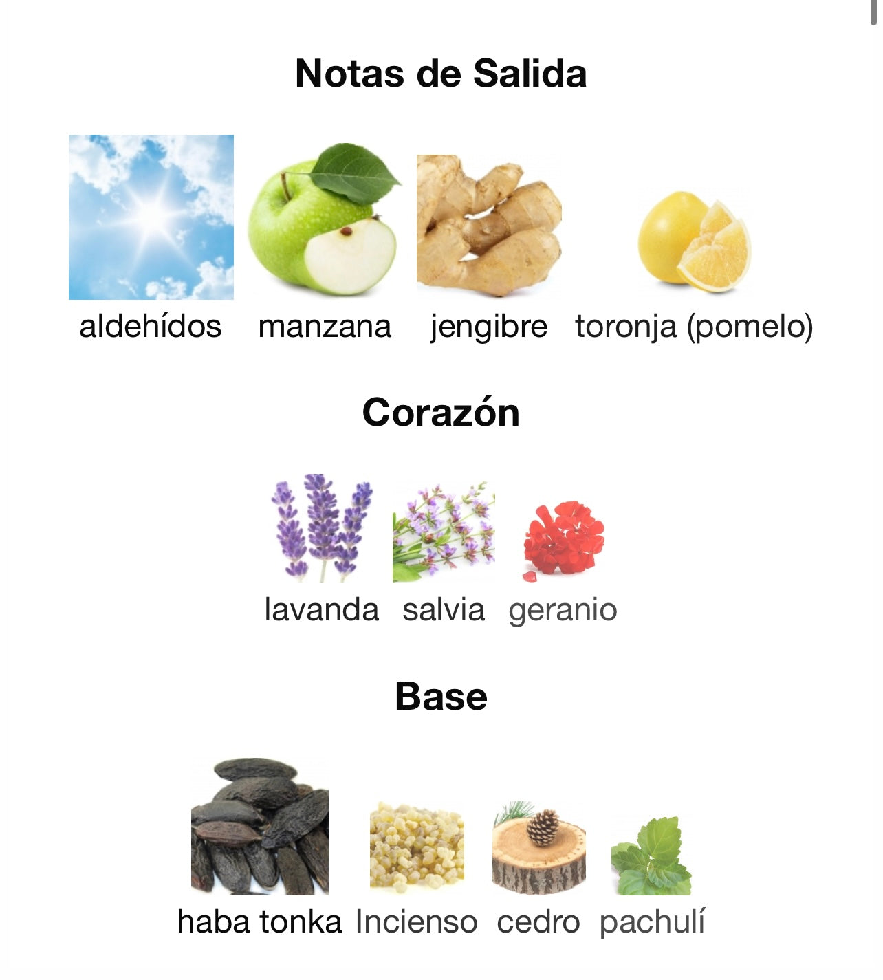 Yeah! Man Maison Alhambra MAISON ALHAMBRA