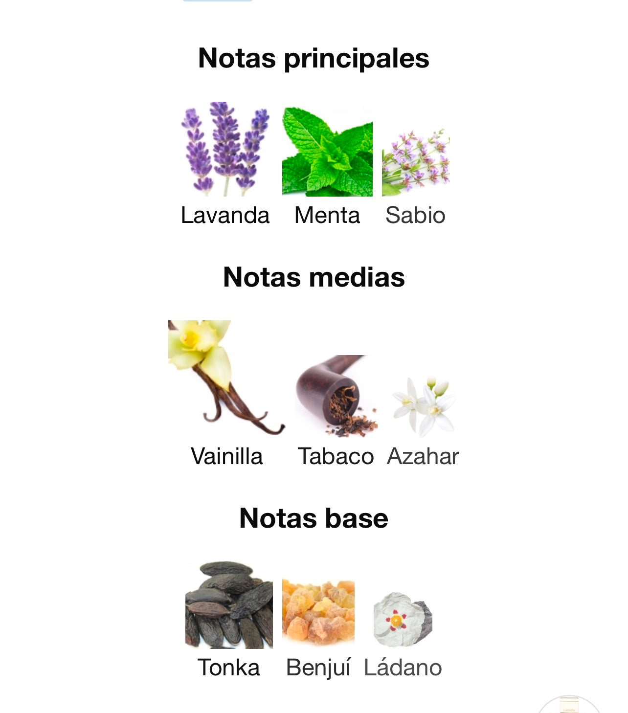 The kingdom for men Lattafa - 100ml