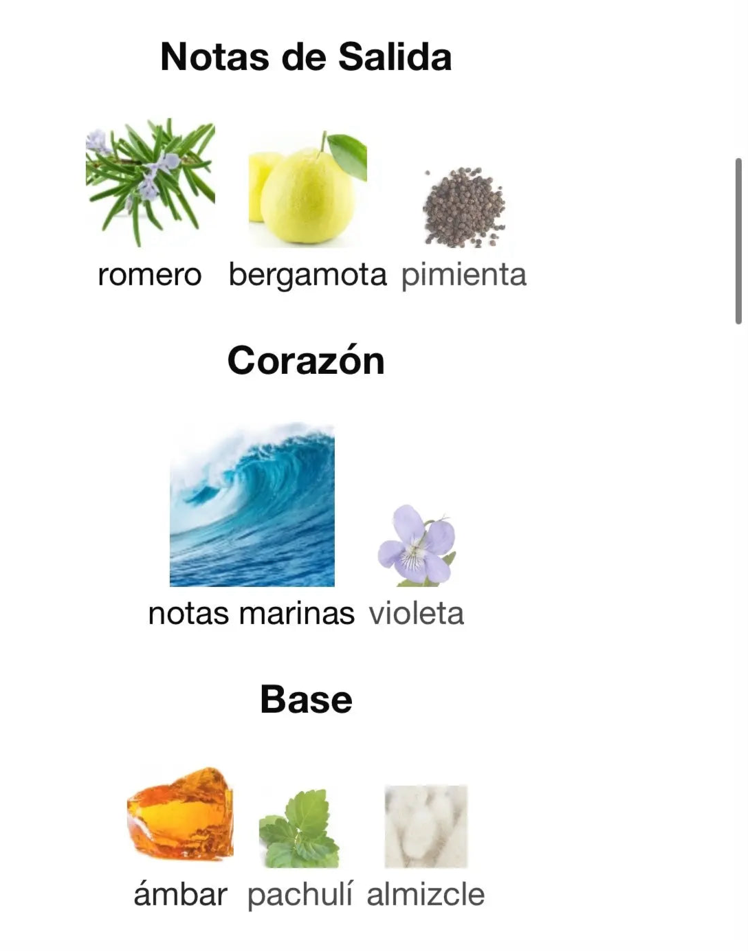 LIAM BLUE SHINE Lattafa Perfumes Lattafa