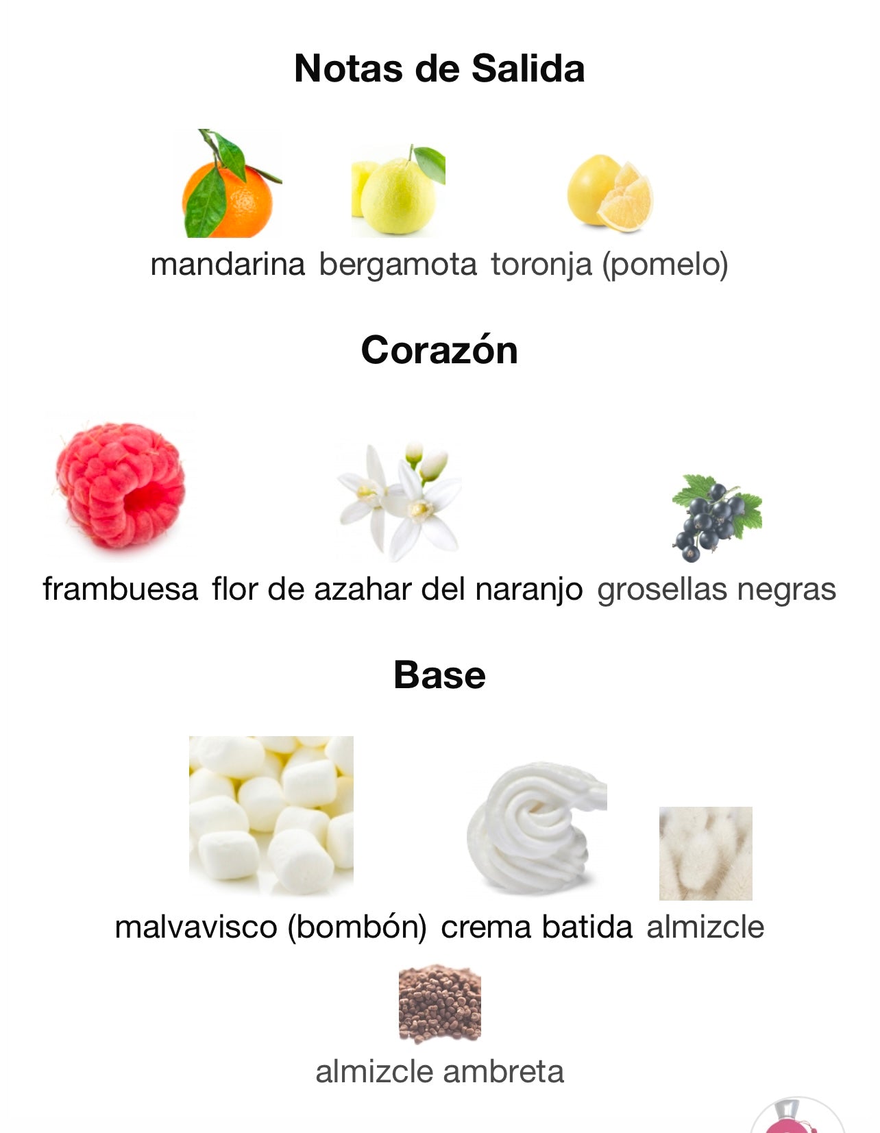 Reyna Maison Alhambra MAISON ALHAMBRA