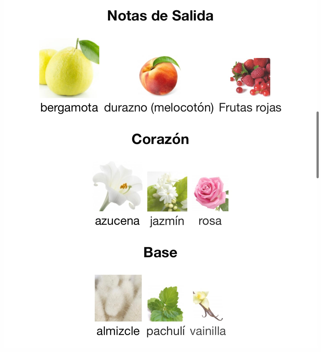 Florence Maison Alhambra MAISON ALHAMBRA