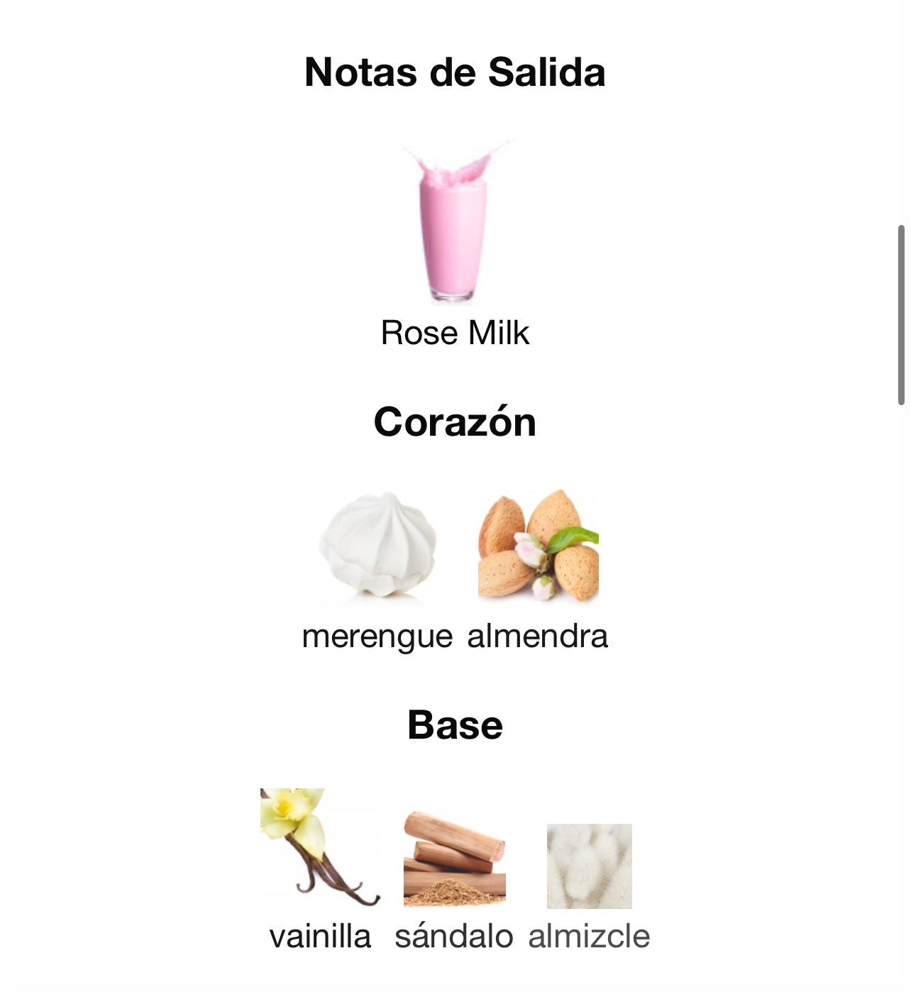 Noble Blush Lattafa Perfumes L A T T A F A