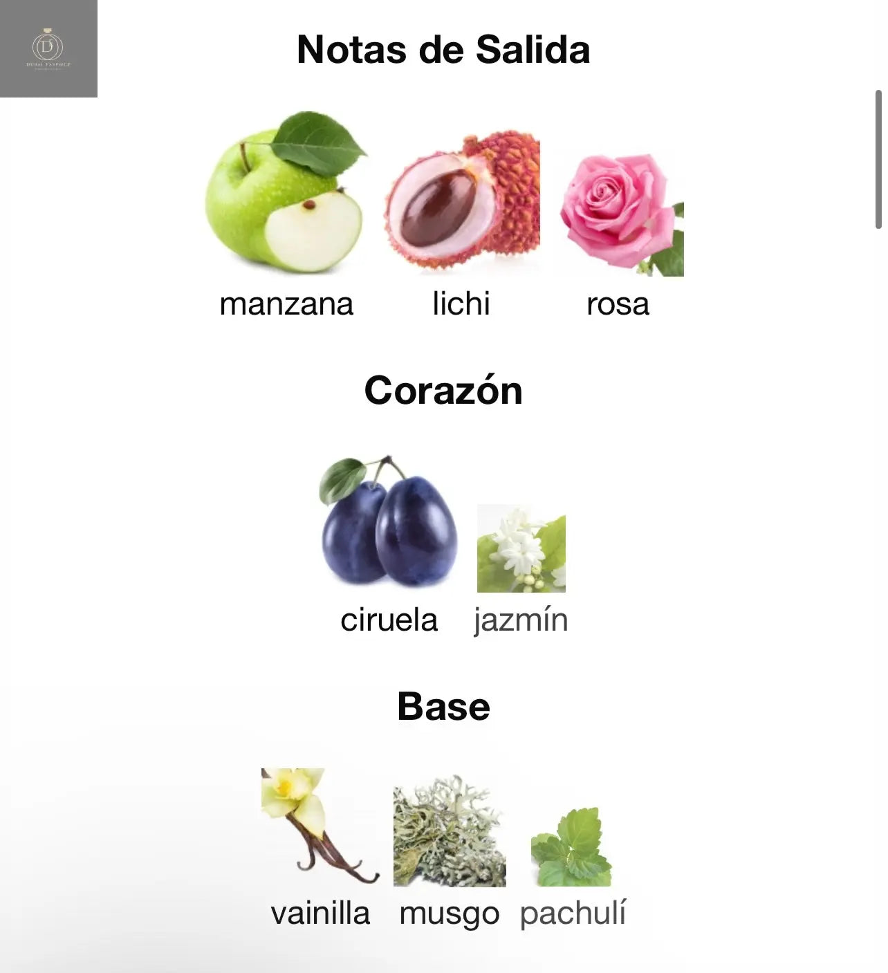 Badee Al Oud Sublime Lattafa - 100 ml - Dubai Essence