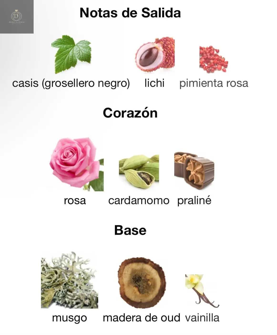 Bayaan Lattafa - 100 ml - Dubai Essence