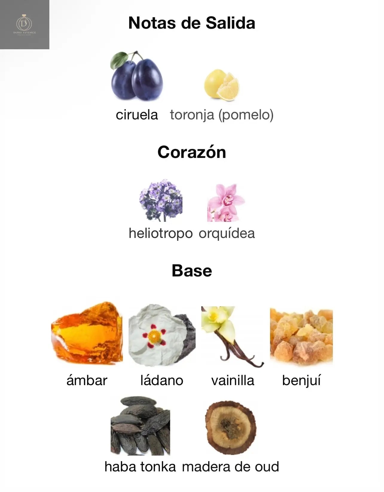 Eternal Oud Lattafa Pride - 100 ml - GAMA ALTA - Dubai Essence