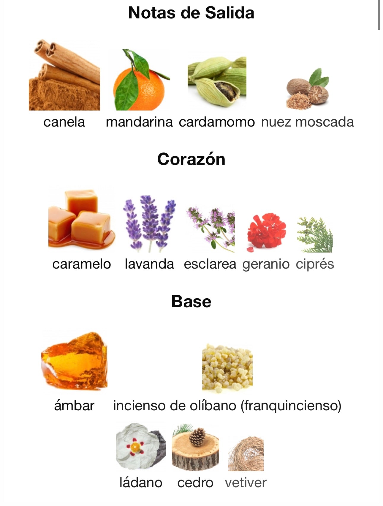 Qaed al fursan UNTAMED lattafa  - 90ml Dubai Essence