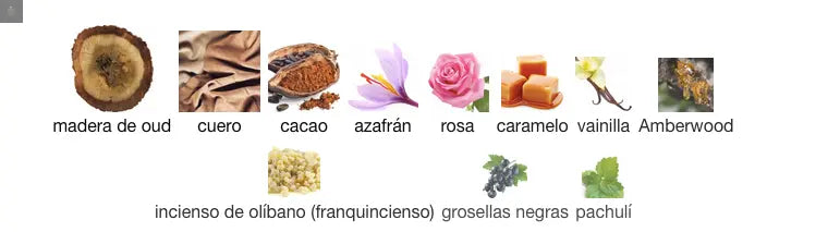 JEAN LOWE NOUVEAU -100 ml - Dupe Louis Vuitton Nouveau Monde MAISON ALHAMBRA