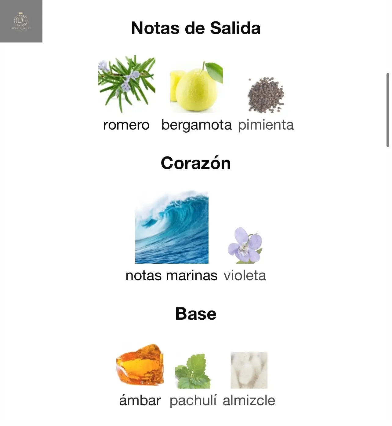 LIAM BLUE SHINE Lattafa Perfumes - Dubai Essence