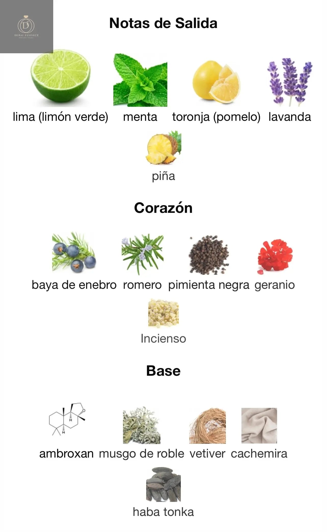 Maahir Legacy Lattafa Perfumes - Dubai Essence