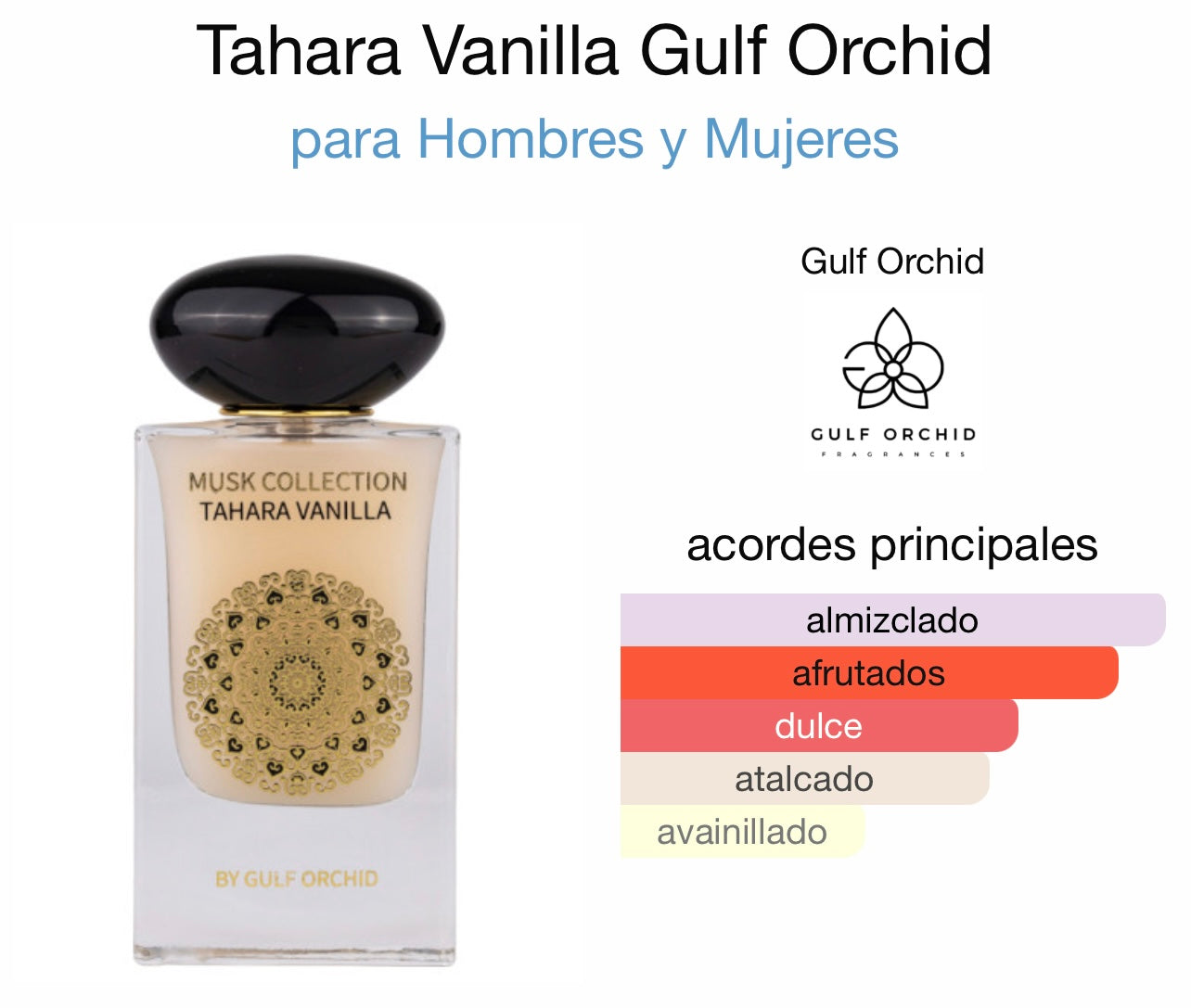 Pack Tahara vanilla Gulf Orchid