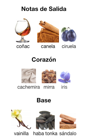 COCKTAIL INTENSE 100 ml -Fragance World