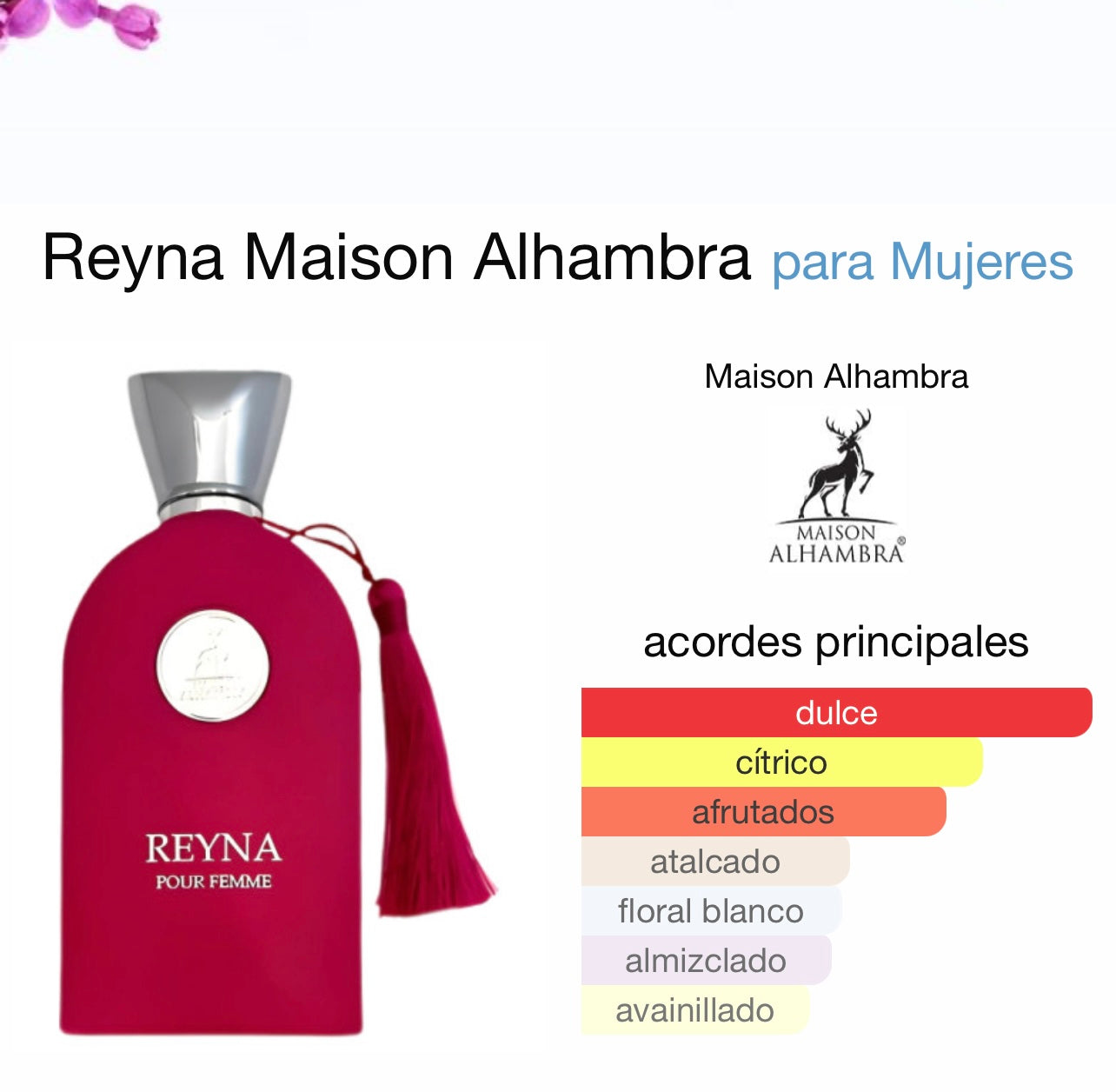 Reyna Maison Alhambra MAISON ALHAMBRA
